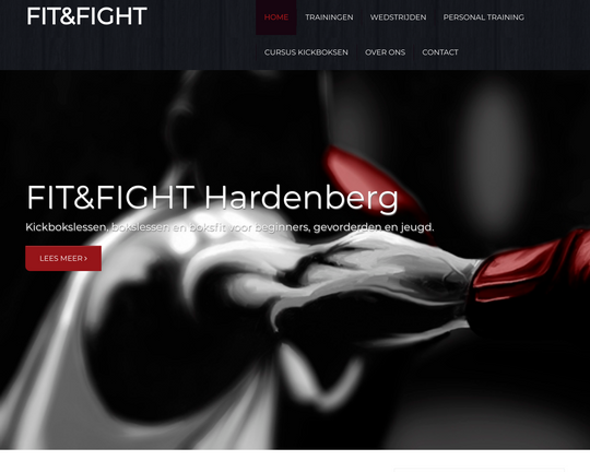 Fit Fight Logo